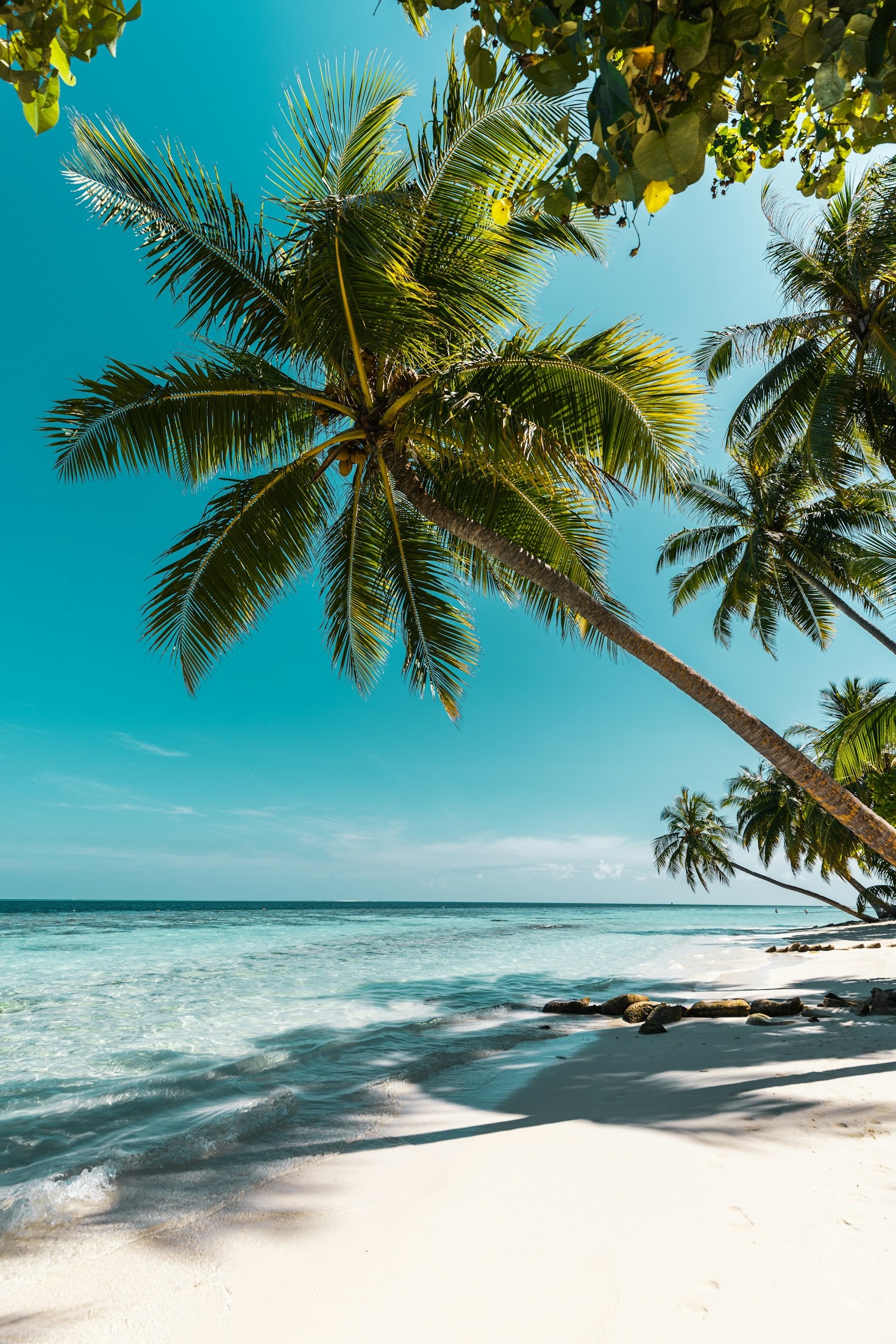 The Best Beaches for Stunning Hawaiian Shots