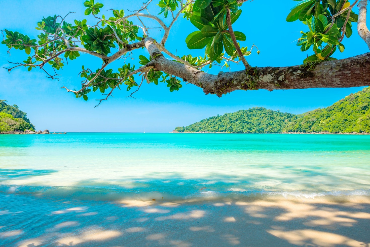 The Story Behind Iconic Hawaiian Landscapes