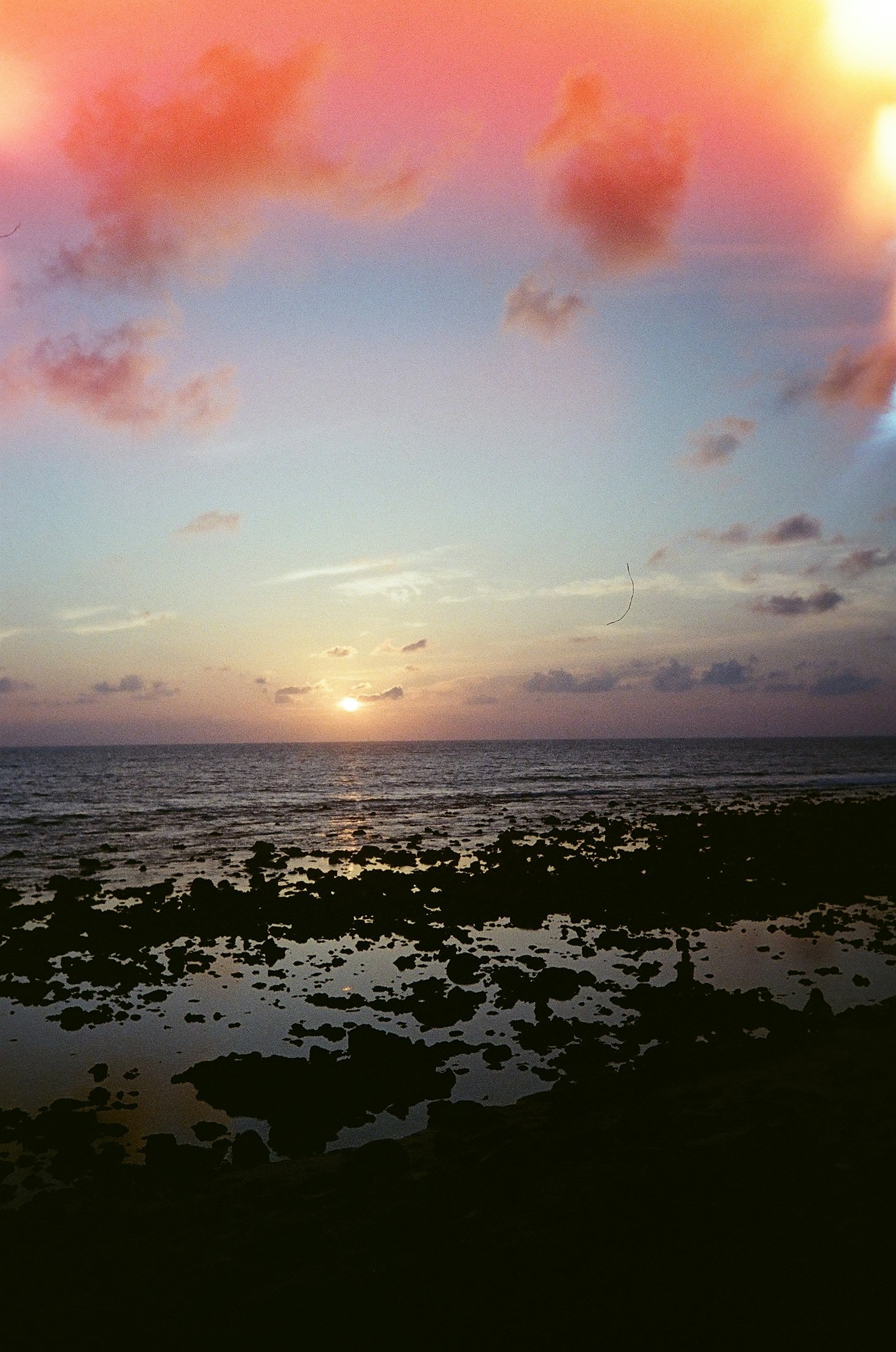 The Role of Photography in Preserving Hawaii’s Heritage